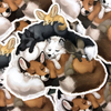 Sticker: Fox Pile